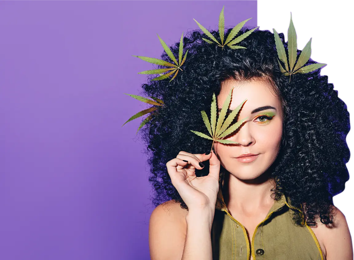 Wind City Cannabis