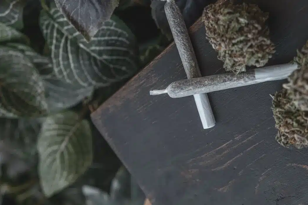Cannabis Pre-Rolls Drawbacks