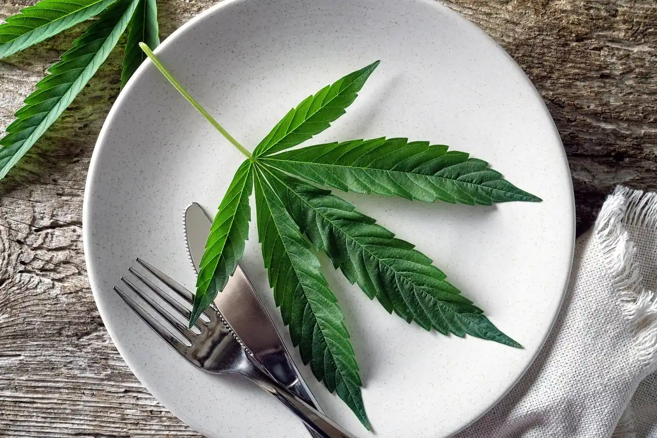a-beginners-guide-to-cannabis-edibles-how-to-choose-the-right-cannabis-edibles-for-your-needs