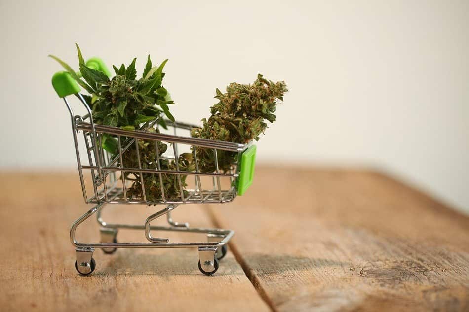 Elevate Your Experience: Uncovering Premium Products and Exceptional Staff at Windy City Cannabis