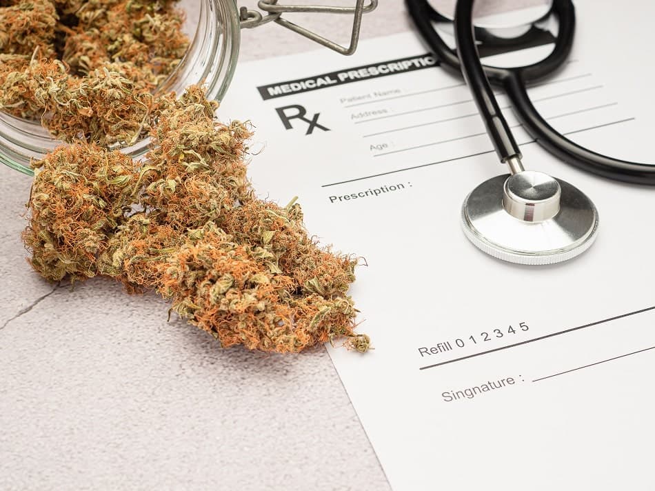 Medical Cannabis Program Qualifying Conditions