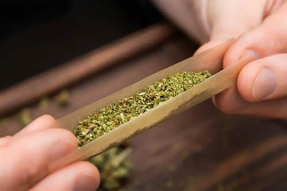 Cannabis Pre-Roll