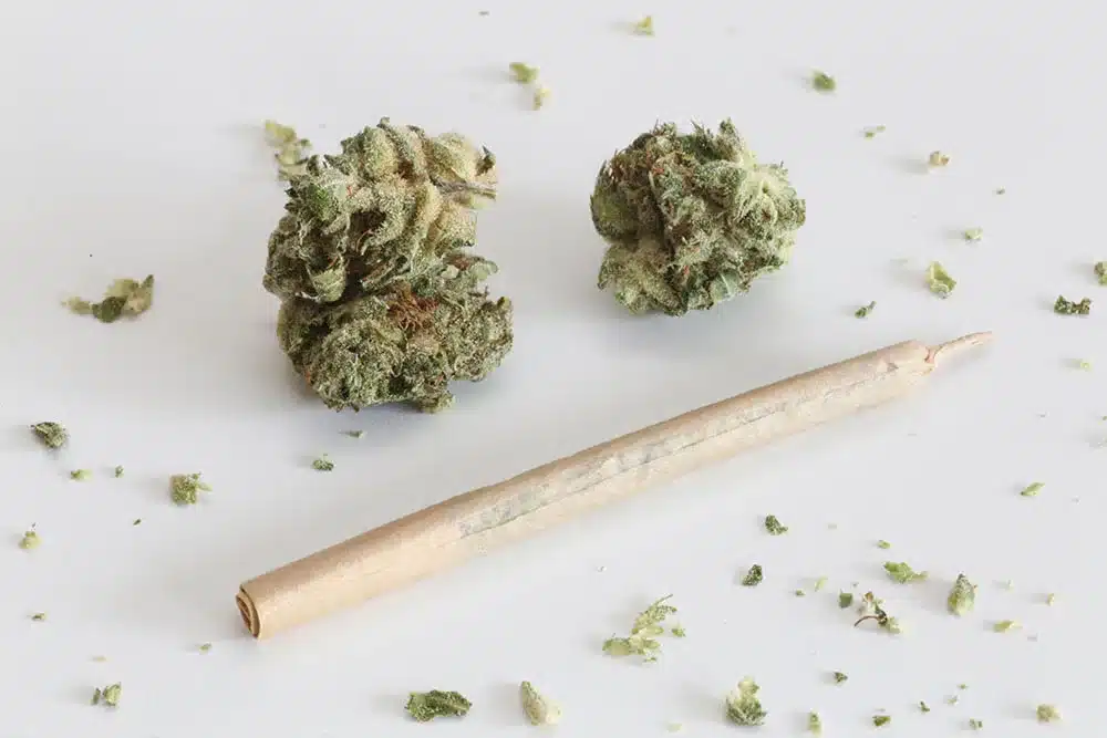 Cannabis Pre-Roll