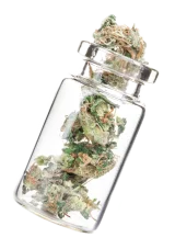 Windy City Cannabis