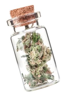 Windy City Cannabis
