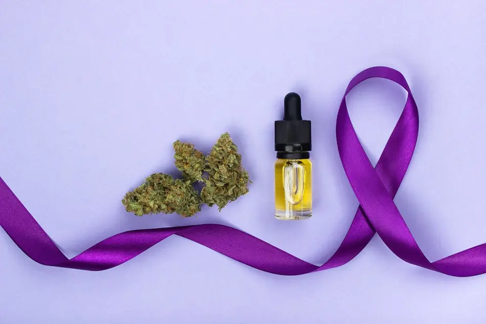 How Cannabis Interacts with the Brain and Body 