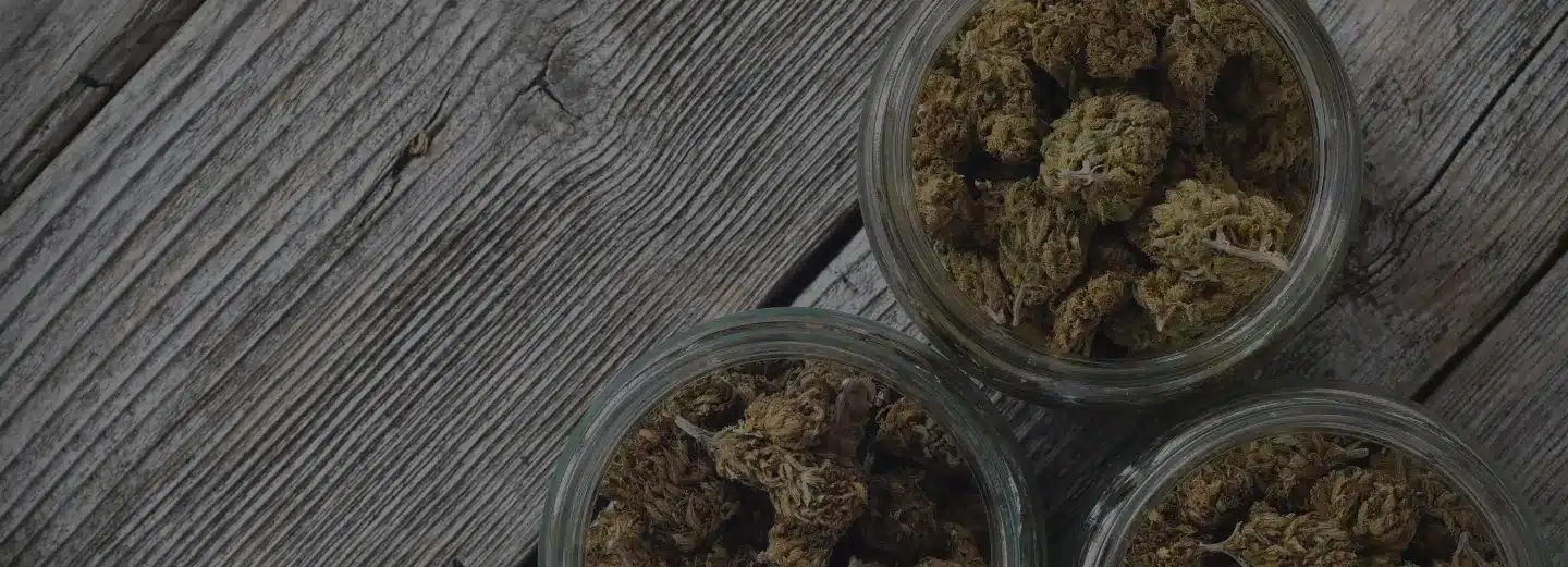 Cannabis